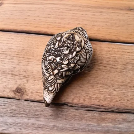 Divine Red Jambhala Conch Shell