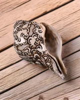Serene Shakyamuni Buddha Conch Shell, view 4