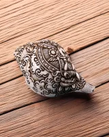 Serene Shakyamuni Buddha Conch Shell, view 6